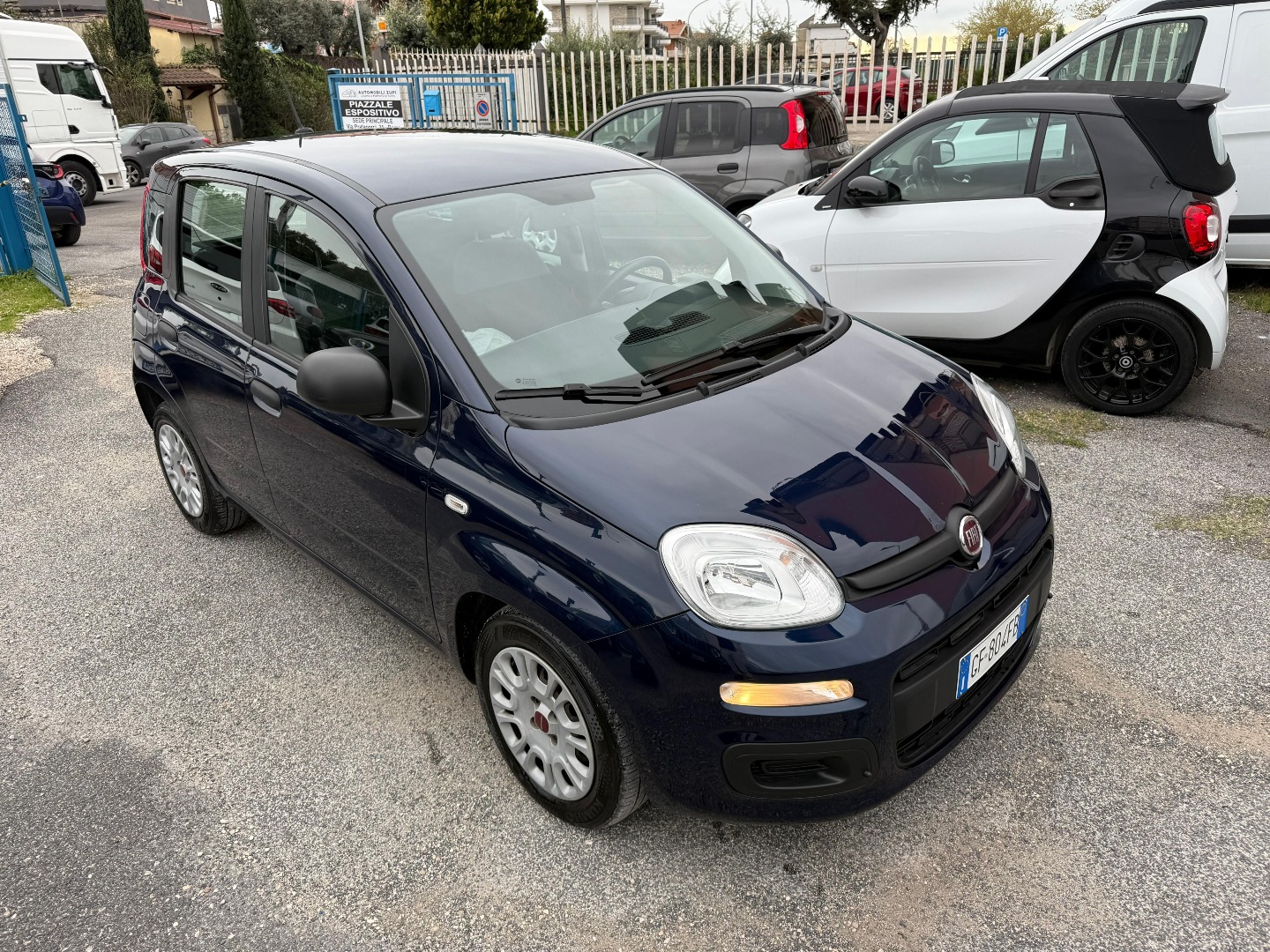 Immagine 9 - Fiat Panda Hybrid 1.0 firefly **PRONTA CONSEGNA**