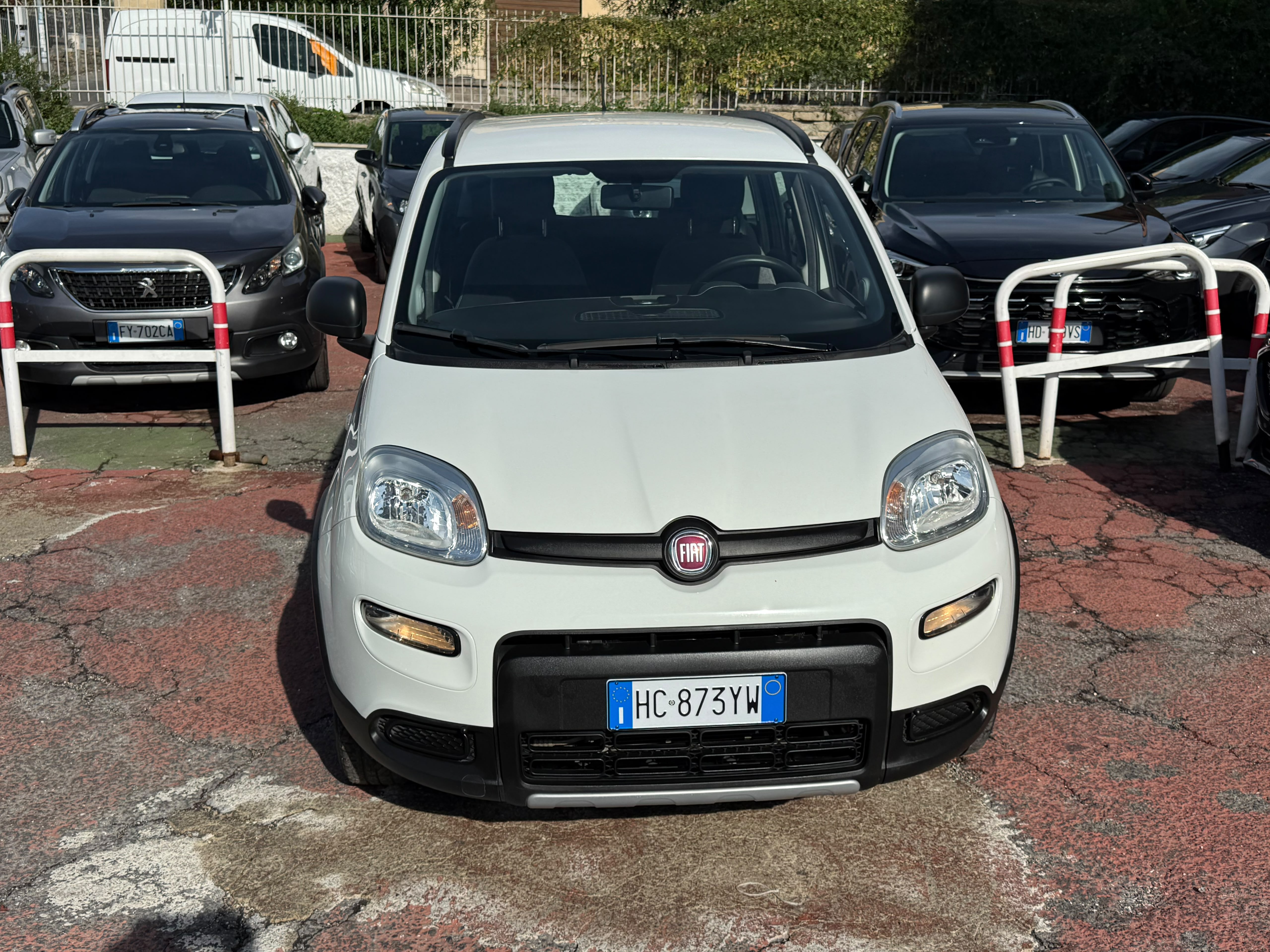 Immagine 1 - FIAT PANDA 4X4  All. Wild 