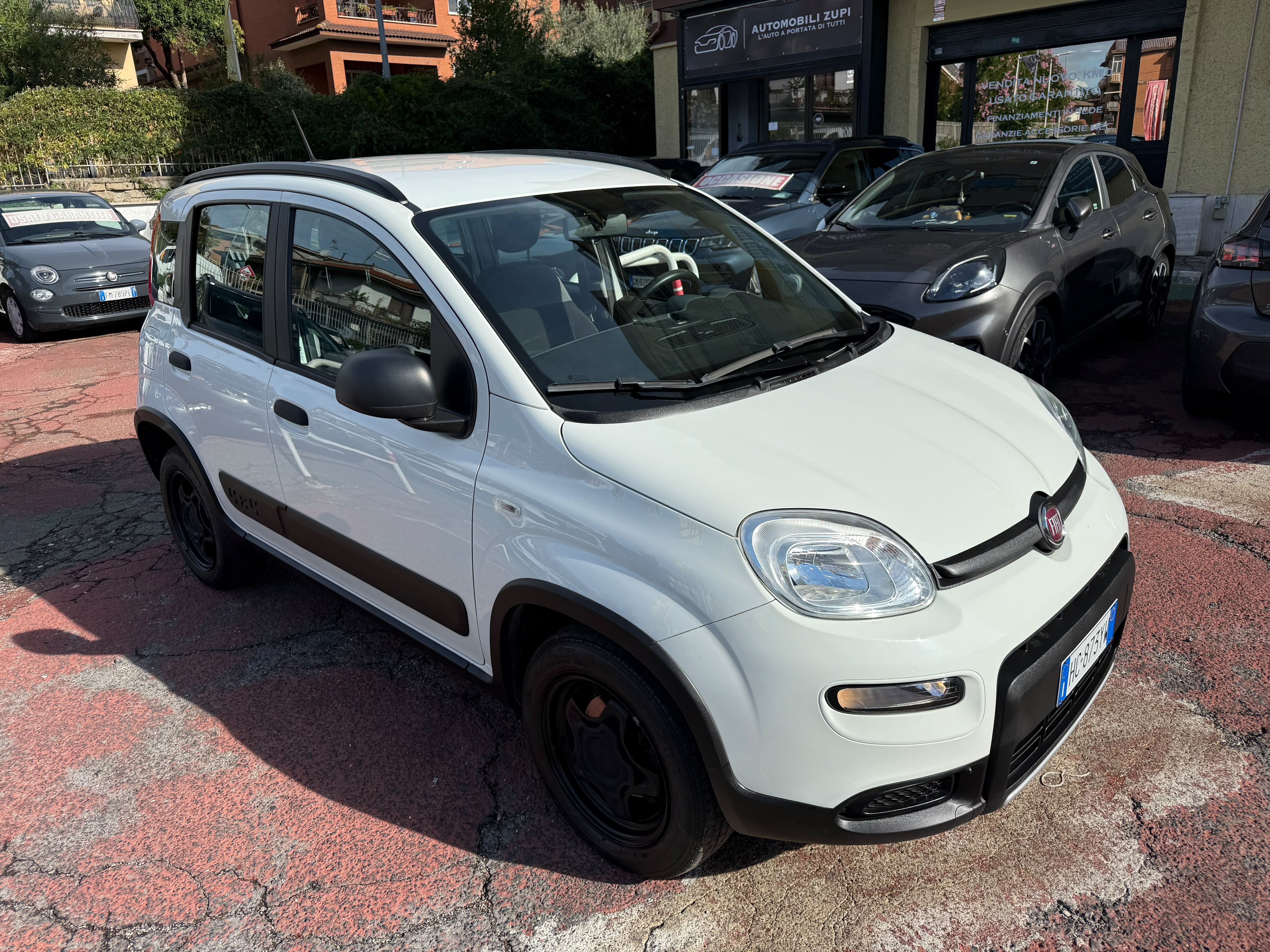 Immagine 2 - FIAT PANDA 4X4  All. Wild 